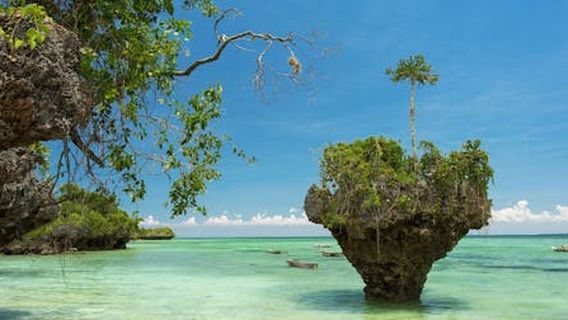 Zanzibar CityExperiences