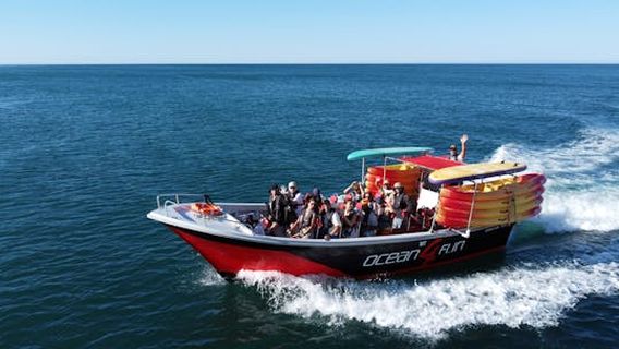 PortimaoExperiences