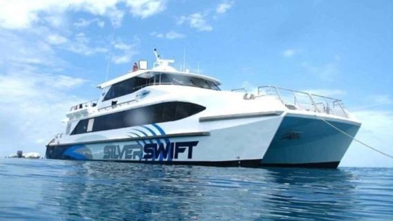 Tour 1 ngày đến Rạn san hô Great Barrier bằng du thuyền Silverswift tại Cairns, Úc