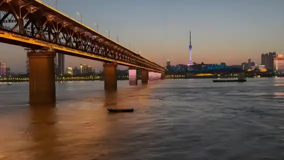 Wuhan one-day tour: Yellow Crane Tower Attractions Customizable|One order group|private charter|Multilingual guide G