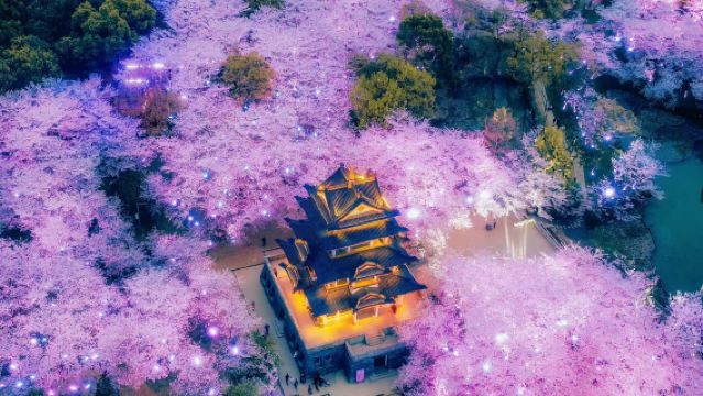無錫-南禪寺-黿頭渚-南長街一日遊 VIP小團 車接車送EA