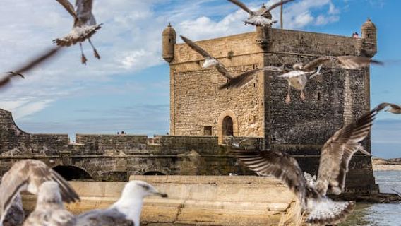 Essaouira and its Medina tour