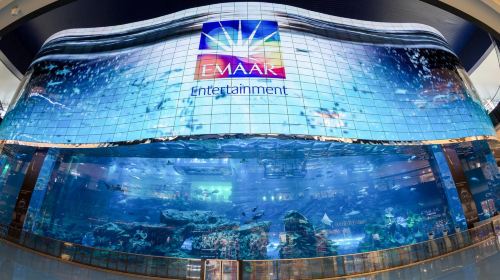 Dubai Attraction: Dubai Aquarium & Underwater Zoo Day Tours 8