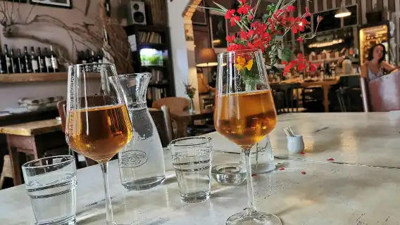 Degustation of organic wines tour from Bratislava