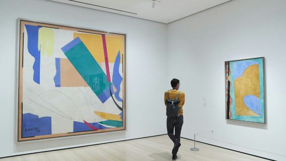 The Museum of Modern Art (MoMA): Entry Ticket