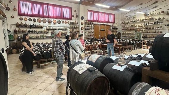 BolognaTours
