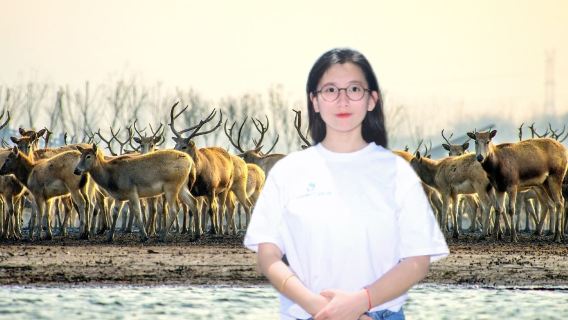 Vous cherchez un Guide touristique à Yancheng ? Contactez-moi pour une réservation urgente ! Des Guide touristique privés vous emmèneront explorer la ville natale des grues et des cerfs. Excursions à la demi-journée ou à la Journée entière, avec Guide touristique) et itinéraire flexible pour toutes les attractions !