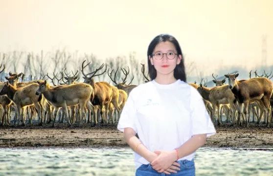 鹽城導遊 急單找我！私人導遊帶您玩轉鶴鹿故鄉、半天，全天，中英文導遊 所有景點自由配！