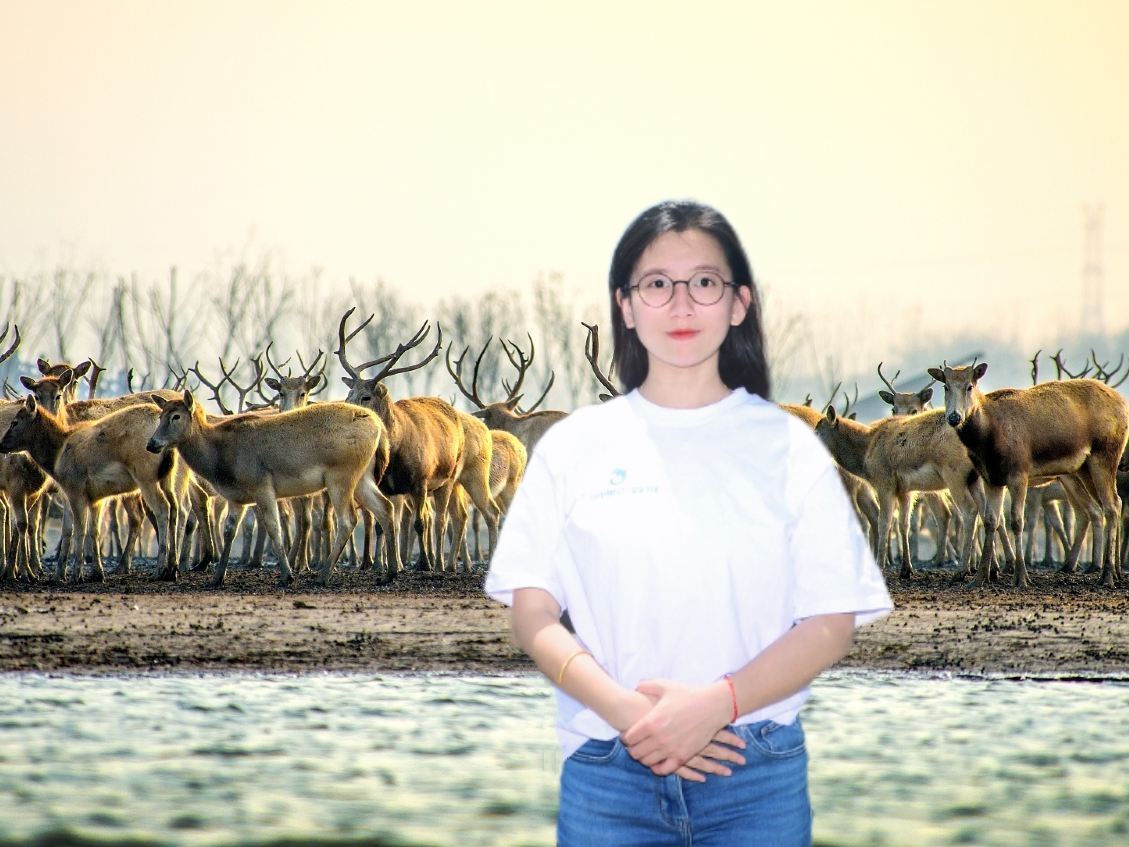 Yancheng Guide - Urgent Requests Welcome! Private guide to explore the Crane and Deer Hometown with you - half-day, full-day, Chinese and English guides available. Customize your itinerary to all attractions!