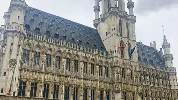比利時+布魯塞爾王宮+皇家美術館一日遊/行程可調-普通話專車