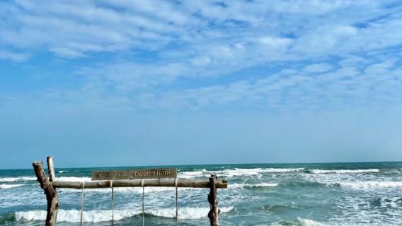 Гуандун Хуэйчжоу Залив Сюньляо + Моцзыши + Залив Шуангюэ + однодневный тур по Шили Серебряному пляжу (доступен английский язык)