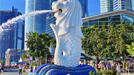 新加坡包車一日遊 個性化定制行程 中文司機 全境景點均可安排