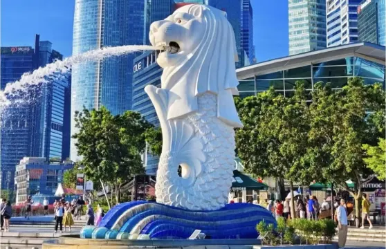 新加坡包車1日包車個性化定制行程 中文司機 全境景點均可安排