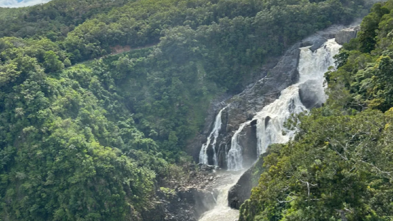 Springbrook