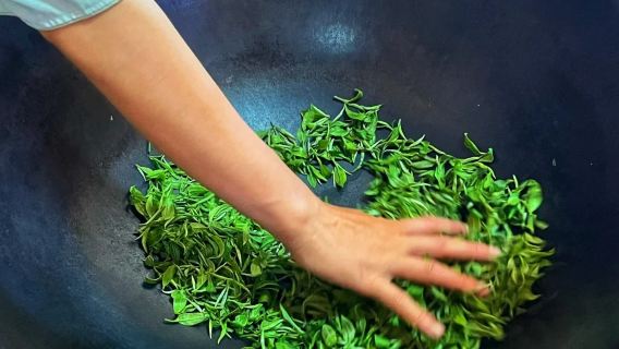 Mezza giornata tra foglie e paesaggio: viaggio immersivo nel tè