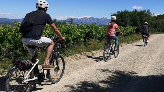 Barcelona: Tour autoguiado en bicicleta eléctrica por el Penedès con cata de vinos