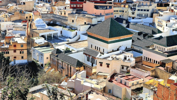 Da Fez: gita di un giorno a Meknes, Volubilis e Moulay Idriss