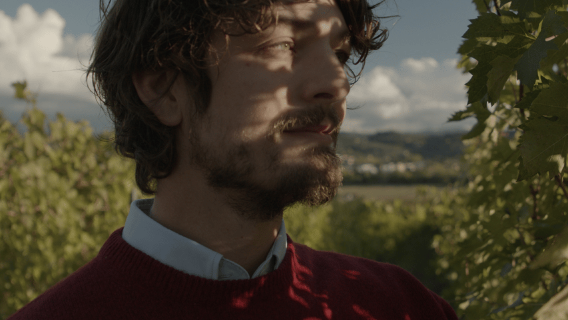 Visita e degustazione in una cantina di Perugia vicino al Lago Trasimeno