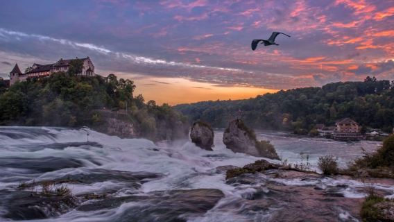 Zurich: Half-Day Trip to Rhine Falls & Historic Schaffhausen