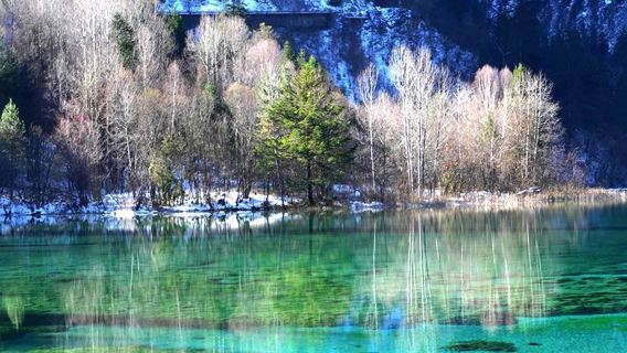 九寨溝風景區一日遊【包車遊 | 可選.2-8人小團】