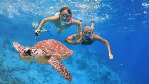 Bali: snorkeling di base all'isola di Menjangan