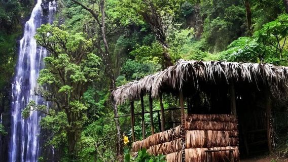 Moshi: Tour tham quan thác nước và cà phê Materuni kèm bữa trưa