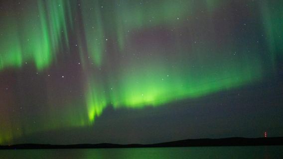Rovaniemi: Caza de auroras y experiencia de barbacoa junto al fuego