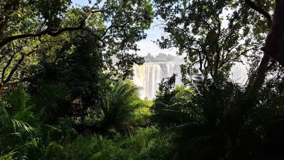 Visita guiada a las Cataratas Victoria y safari en el Parque Chobe