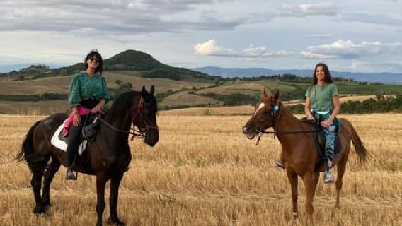 Menunggang Kuda Melalui Ladang Anggur Montepulciano