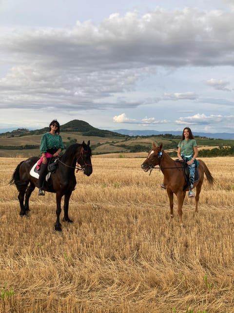 Passeggiata a cavallo tra i vigneti di Montepulciano