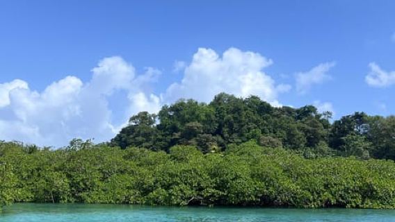 Portobelo, Cristo Negro, Venas Azules dan Playa Blanca Tur 4-in-1