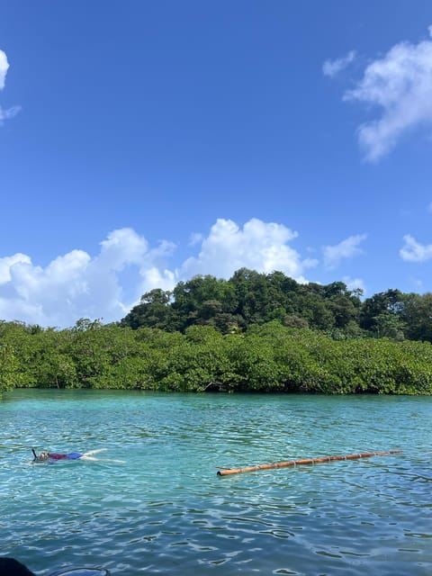 4-in-1 tour: Portobelo, Black Christ, Blue Veins, and Playa Blanca