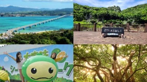 Okinawa Hip-hop Bus C Course Tour to Northern Island