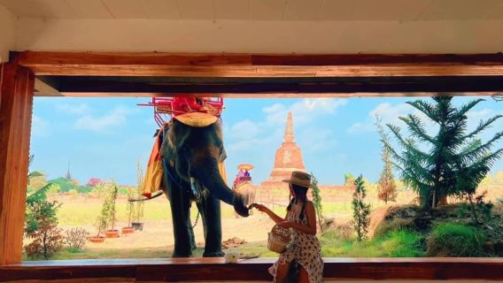 AyutthayaTour Trong Ngày