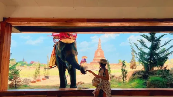 [Private] Ayutthaya Temple & Sunset Boat Tour – Accompanied by a Veteran Driver