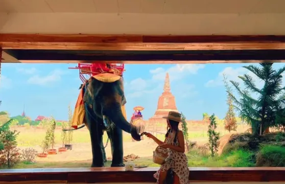 【私人團】 大城府寺廟 & 日落遊船之旅 – 資深司機陪同