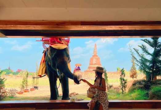 [Private] Ayutthaya Temple & Sunset Boat Tour – Accompanied by Veteran Driver