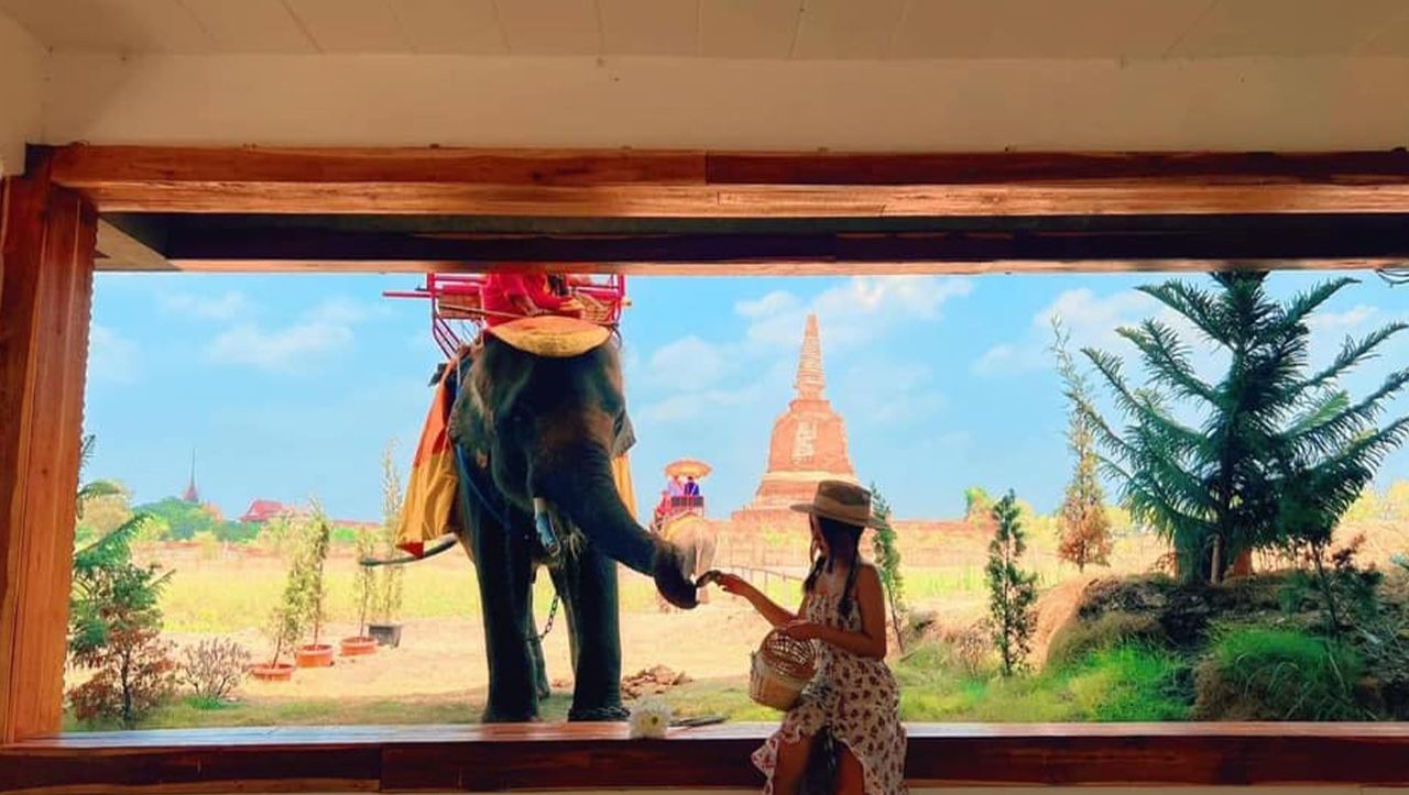 [Privato] Tour in barca al tramonto e al tempio di Ayutthaya – Accompagnati da un autista veterano