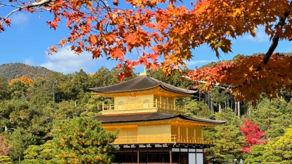 【領券立減｜9人團】貴船神社+金閣寺+嵐山【含叡山電車體驗】