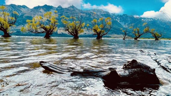 Tour clásico por el lago Wakatipu, Arrowtown y Kingston en Queenstown, Nueva Zelanda [Servicio exclusivo en chino]