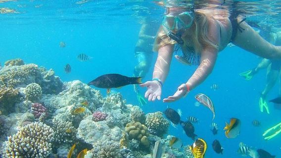 Escursione in mare alla Royal Dolphin House di Hurghada