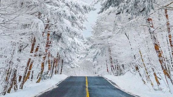 濟州島西南線一日遊|門票全含|漢拿山國立公園+追海豚|4-15人團