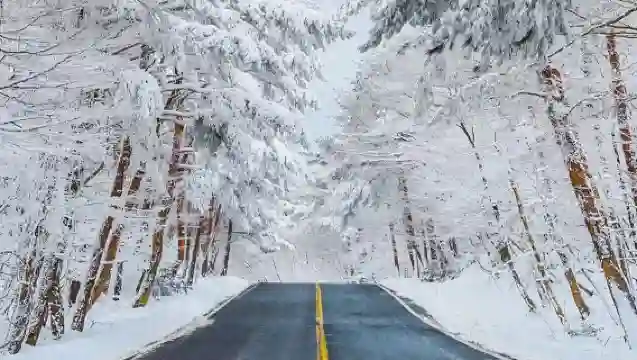 濟州島西南線一日遊｜門票全含｜漢拿山國立公園+追海豚｜4-15人團