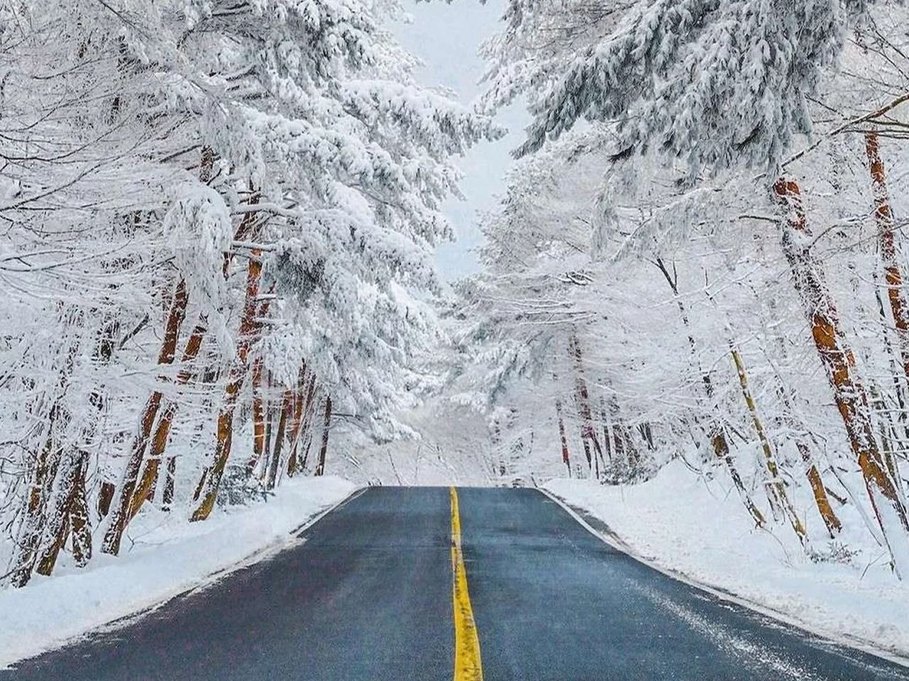 濟州島西南線一日遊｜門票全包｜漢拿山國立公園+追海豚｜6-15人團