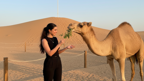 Dubai Safari Sa Mạc Đồi Cát Đỏ, Xe Quad, Lạc Đà và Bữa Tối BBQ