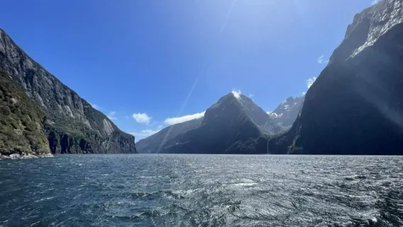 Khởi hành từ Queenstown, New Zealand: Trải nghiệm ngắm cảnh bằng đường hàng không tại Vịnh Milford (bao gồm du thuyền)