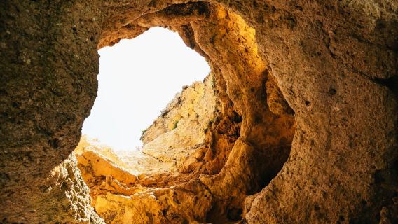Lagos: Bootsfahrt zu Meereshöhlen, Stränden und Ponta da Piedade