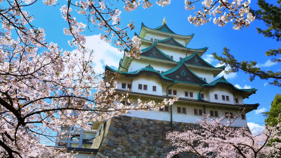 日本名古屋｜地接｜翻譯陪同｜地陪旅遊｜展會｜商務考察｜AY