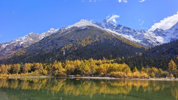 【2-8人拼團】九寨溝風景區+黃龍+四姑娘山+畢棚溝&保姆車上門接