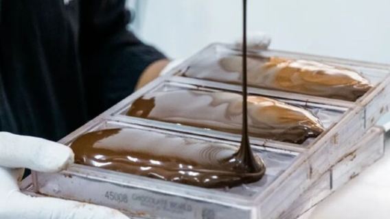 Junglegold Bali Corso di Preparazione del Cioccolato con Degustazione e Visita alla Fabbrica